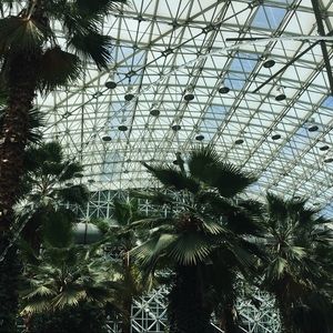 Meet your Posher, Alaa